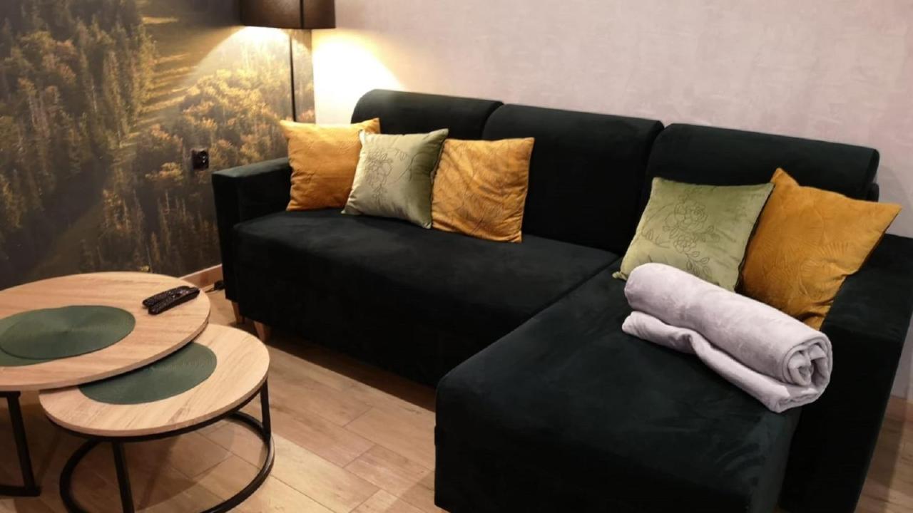 Apartamenty Sun & Snow Pardalowka ザコパネ エクステリア 写真